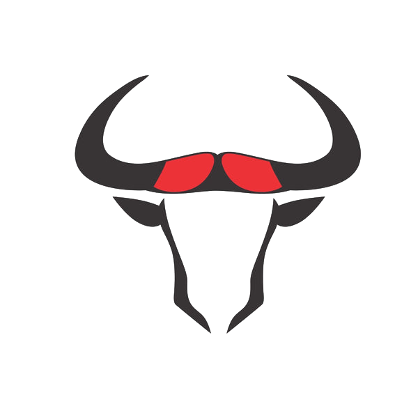 Bulls India 
